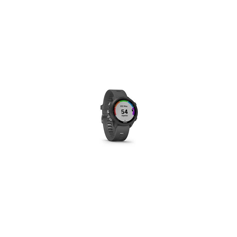 garmin forerunner 245 black slate